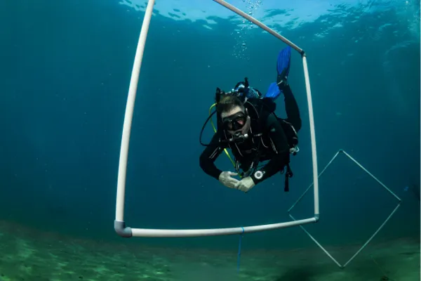 curso-advanced-lanzarote