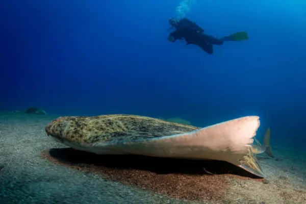 curso-advanced-lanzarote