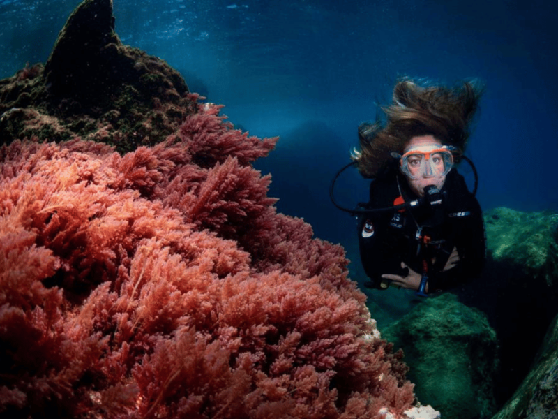 curso especialidad buceo ssi lanzarote